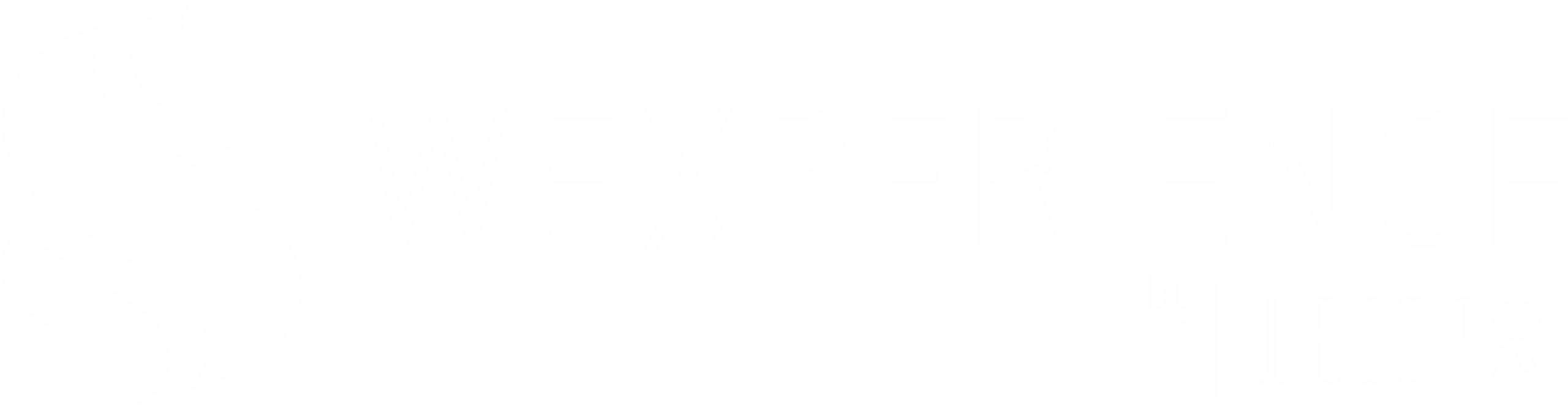 Logo_We-Xperience_blanco@4x